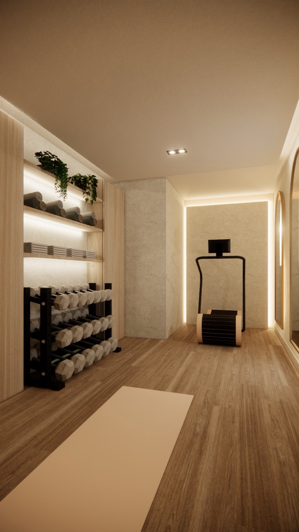 3D render of the home gym