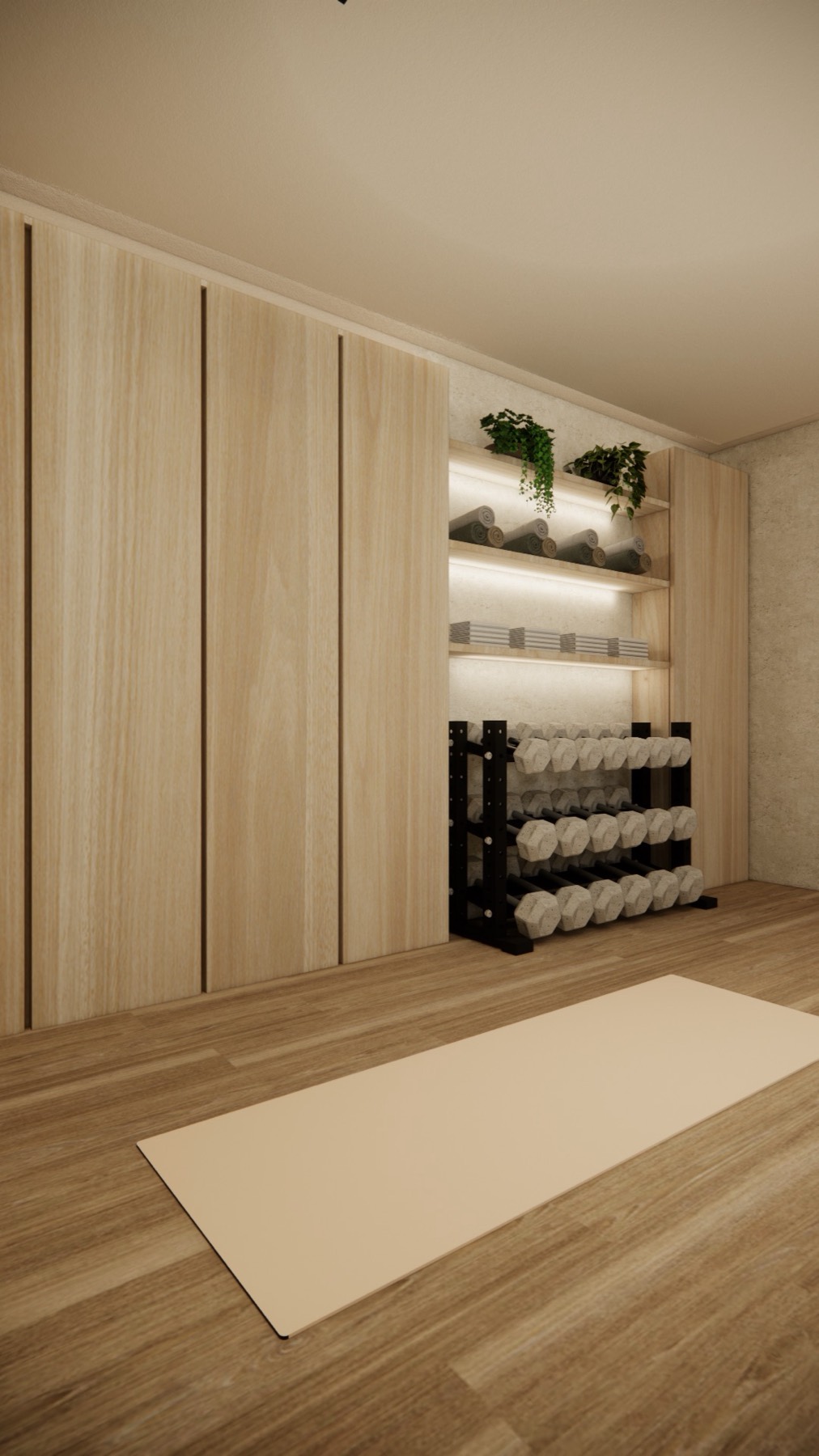 3D render of the gym built-in shelves