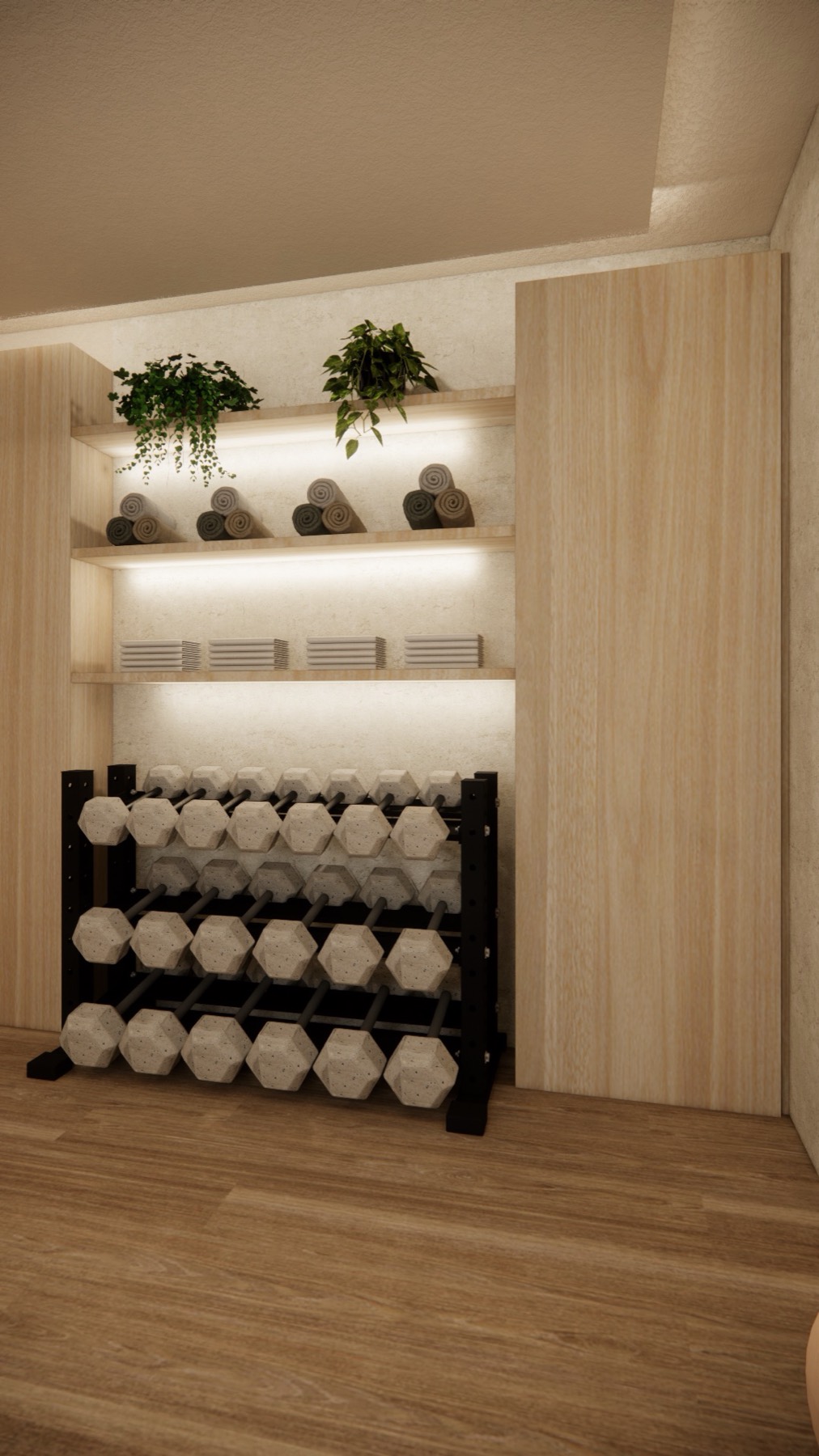 3D render of the gym shelving